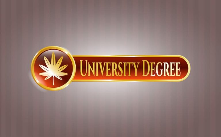 Canna Provisions Group Best College Degrees CannabisIndustry