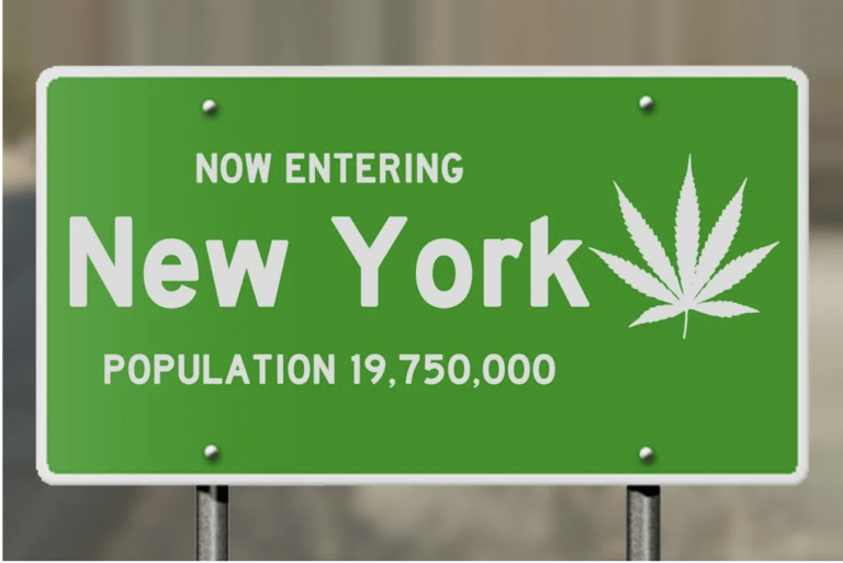 new york legalizes cannabis canna provisions chemdog