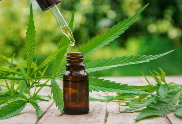 cannabis tinctures