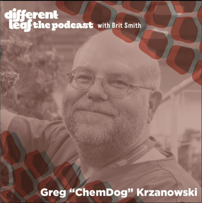 Chemdog on different leaf with brit smith talking smash hits cannabis