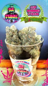 Da Funk Strain Cup Winner-1080x1920-1-576x1024