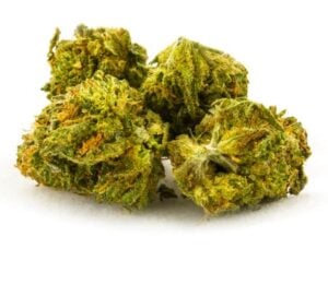 cannabis flower