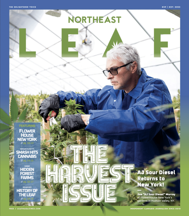Northeast Leaf Harvest Issue Smash Hits Cannabis Chemdog Chem D 2023 November