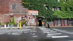 holyoke store
