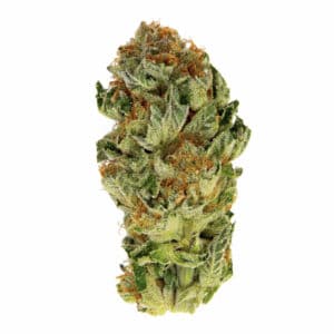 Biscotti Mintz cannabis strain for anxiety relief at Canna Provisions Massachusetts