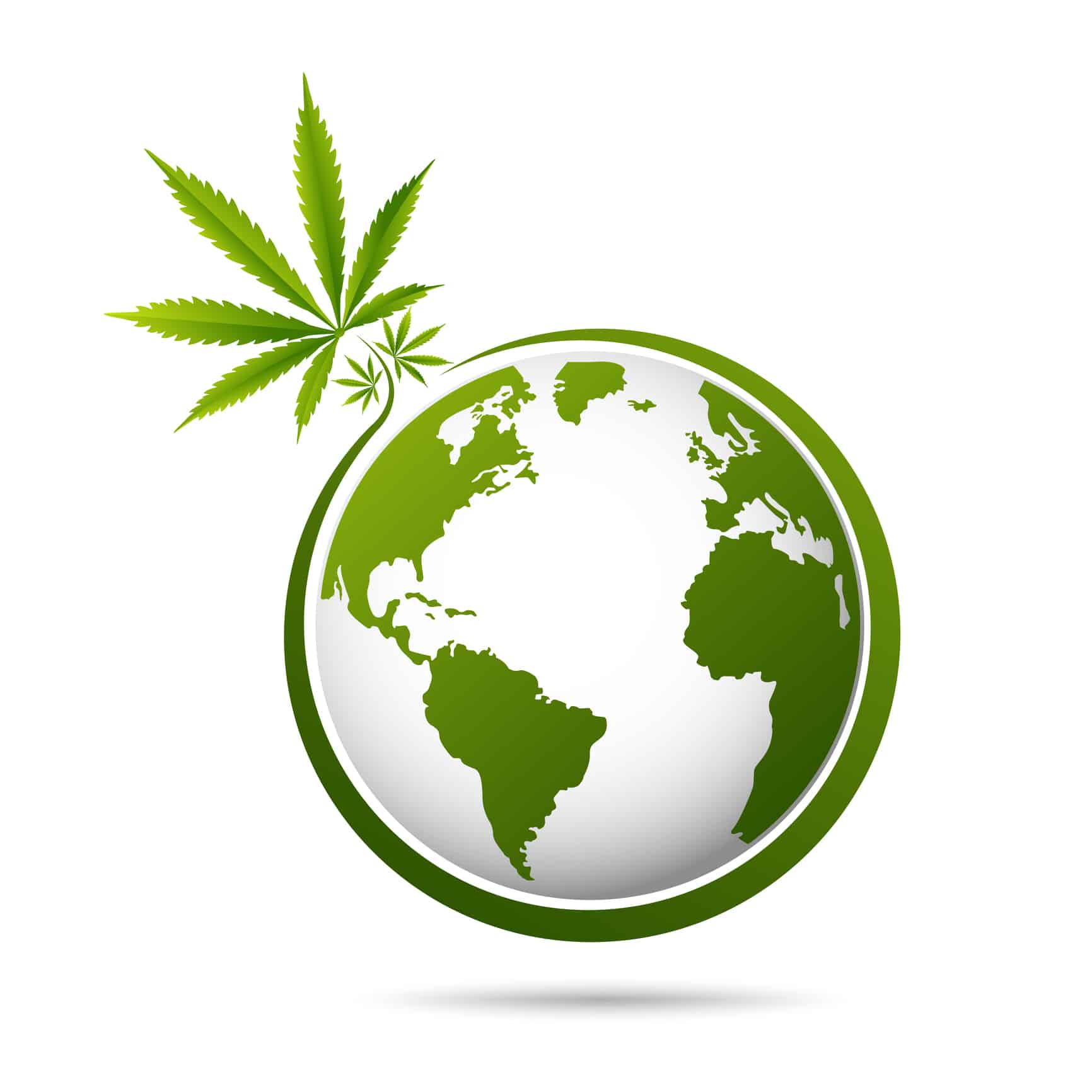 world map is made of green cannabis leaves. Abstract territorial plan in green color hues