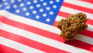 Medical Marijuana bud lay on USA flag