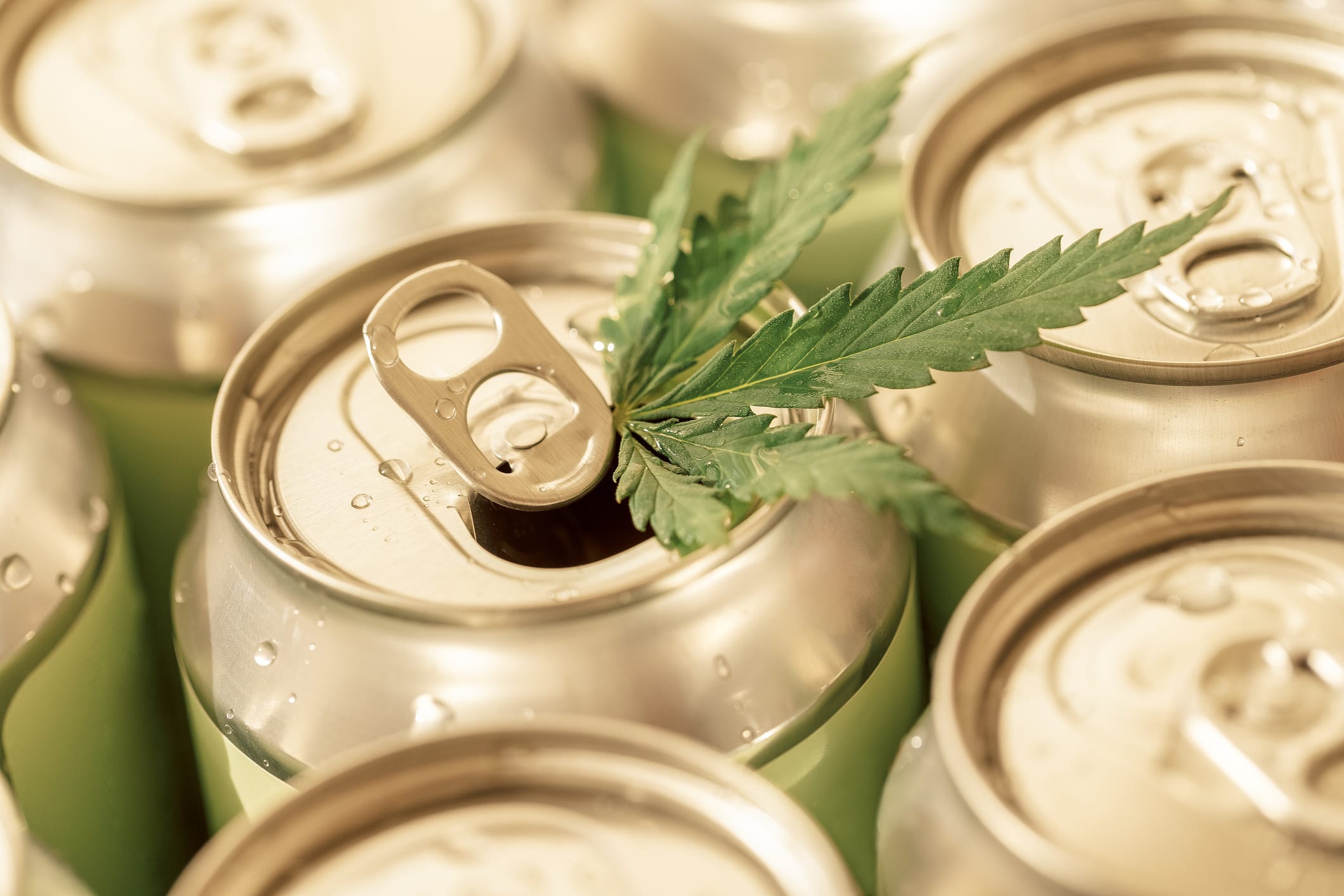 A collection of aluminum cans with a cannabis leaf.