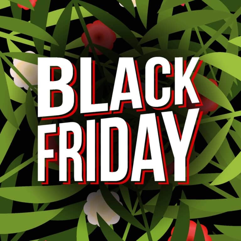 Black Friday