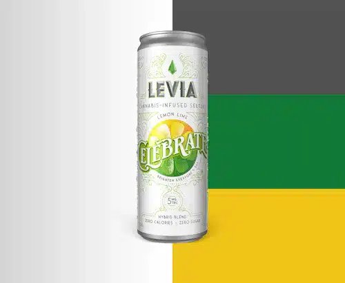 Levia Seltzer | Celebrate