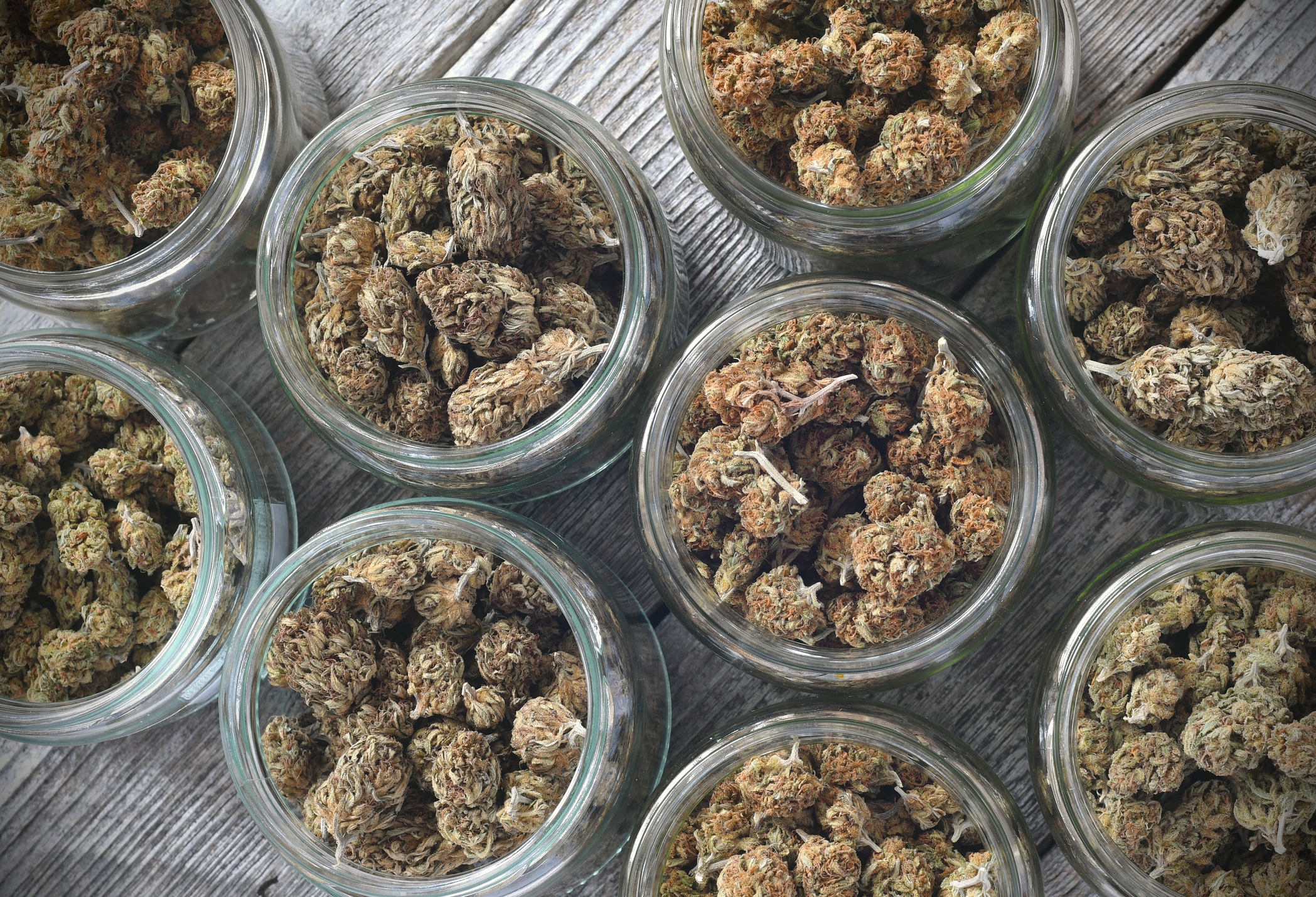 Dry and trimmed cannabis buds stored in glass jars on a wooden table