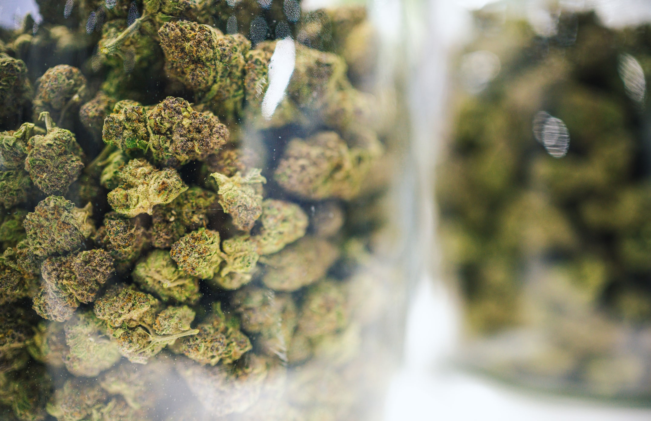 cannabis in clear glass containers 