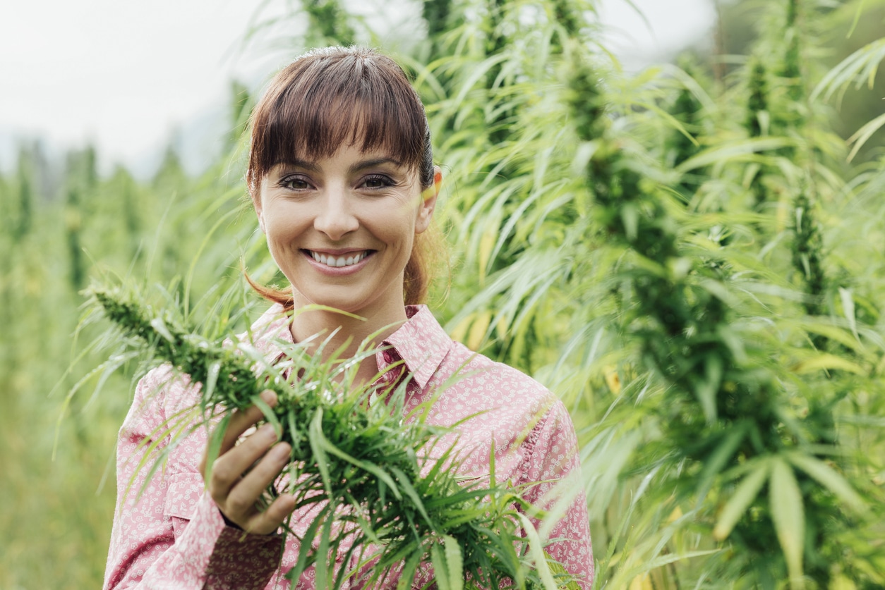 Young smiling woman in a hemp field checking plants and flowers, agriculture and nature concept