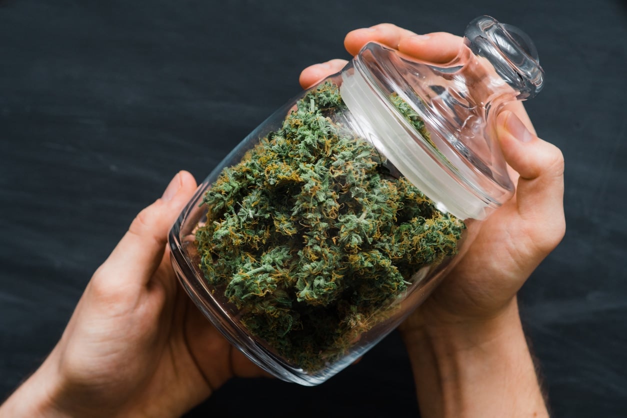 A bank with fresh buds of cannabis in the hands of a man. A lot of marijuana. Concepts of legalizing weed. Top view. Close up . Black background .