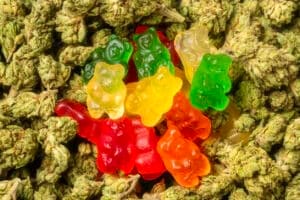 Stack of Organic Marijuana Gummy Bear Candies close up