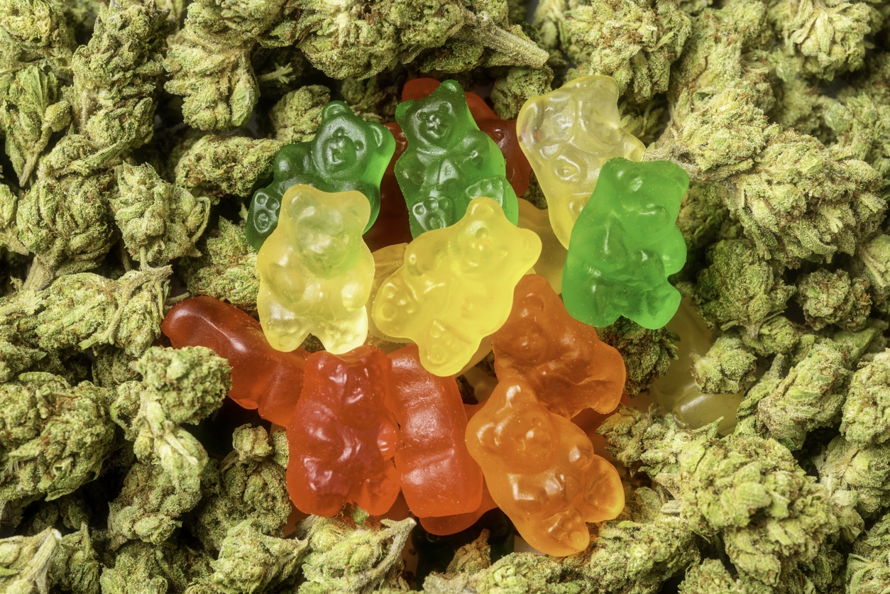 Stack of Organic Marijuana Gummy Bear Candies close up