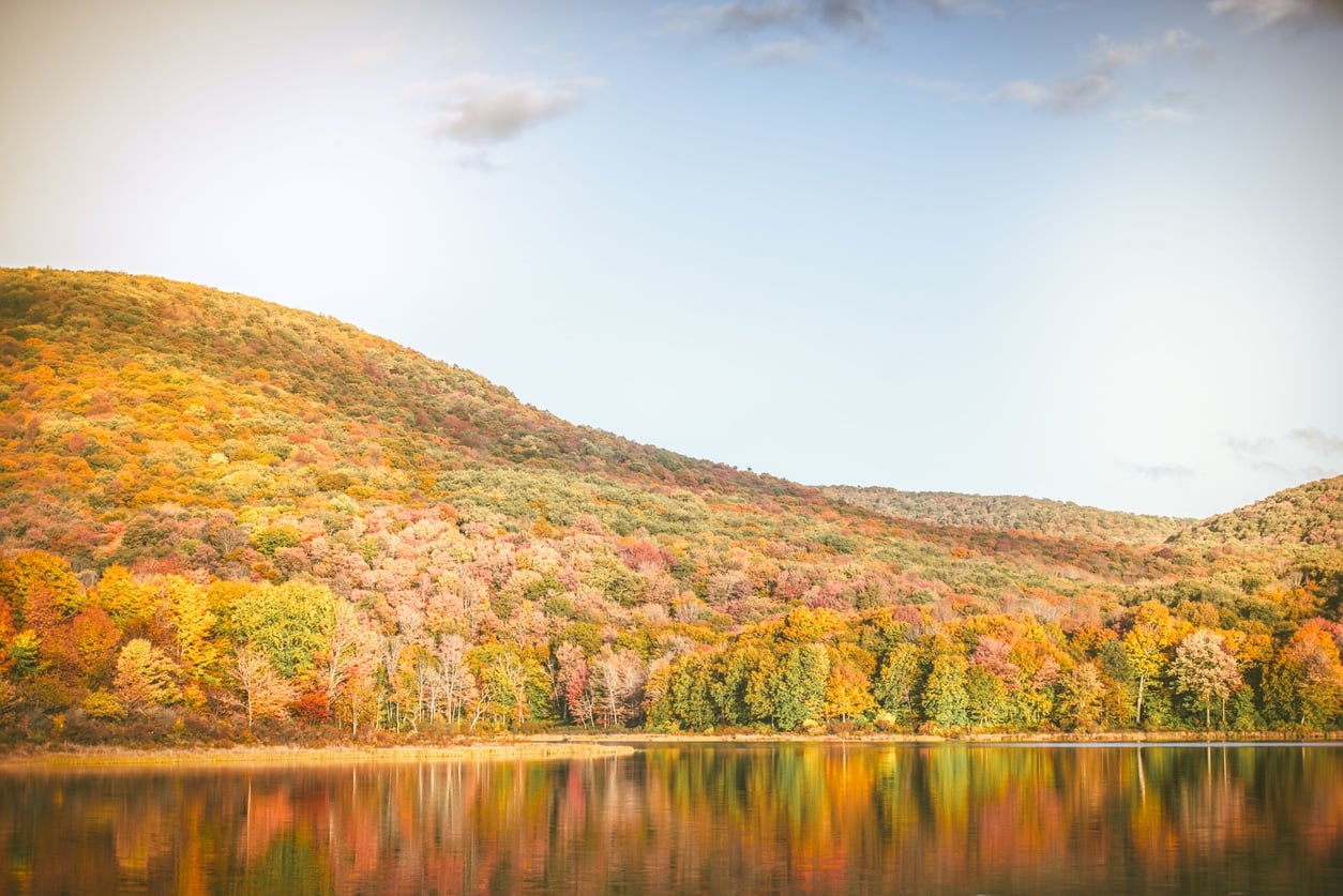 Beautiful autumn trees with fall colors reflected in a serene lake.