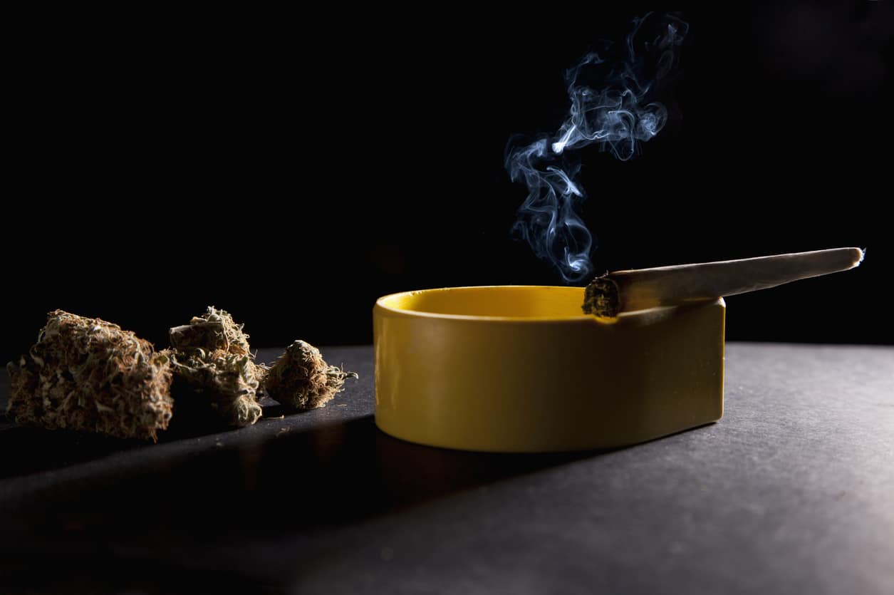 smoking joint on ashtray with smoke and cannabis buds next to it