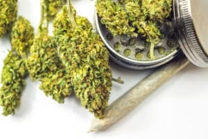 Joint essentials on white, flower buds grinder, medical or recreational marijuana concept