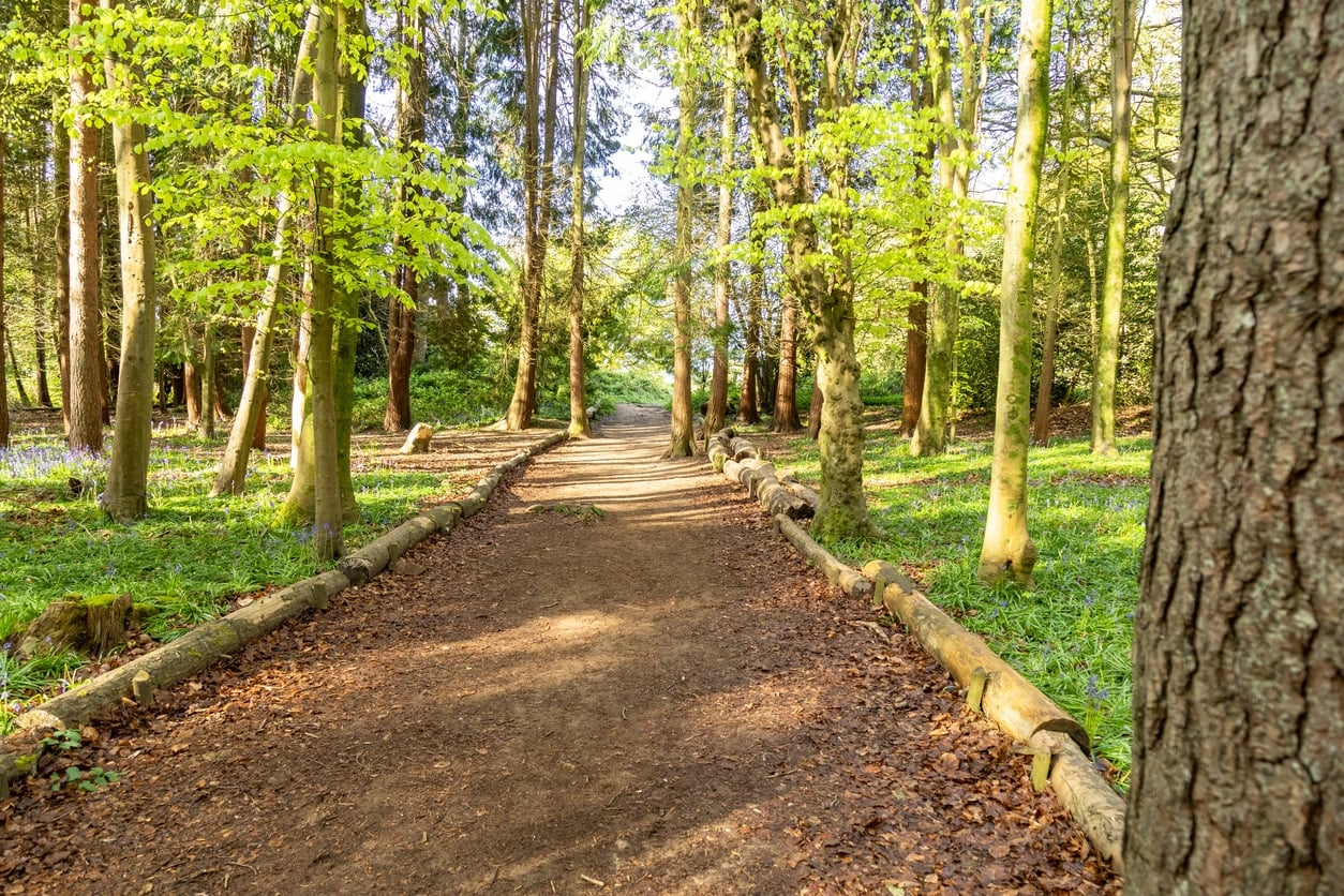 Morning walk