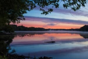 sunrise on the Connecticut River featuring a tree in silhouette
