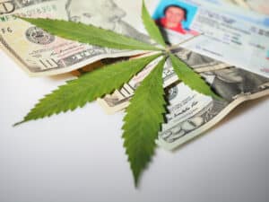 Michigan driver's license and cannabis marijuana