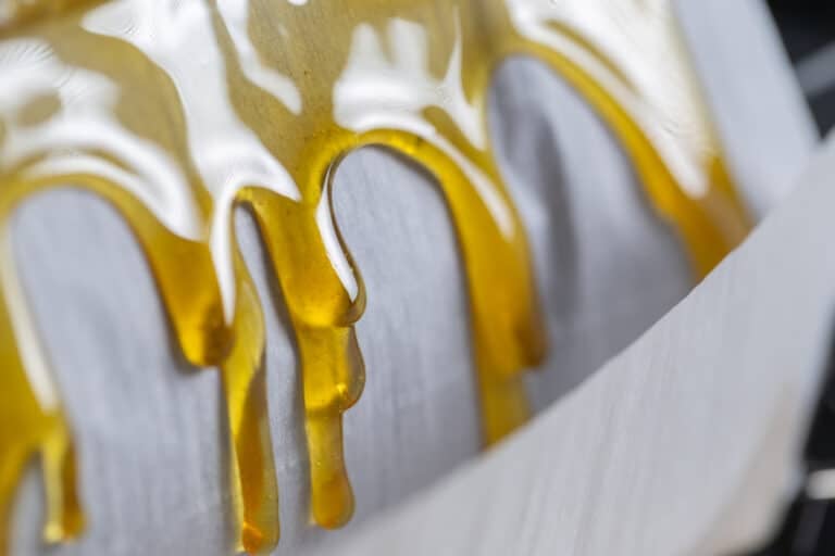 Shot of the process for making live rosin from dry hash and cannabis trichomes. Shot inside of a cannabis processing laboratory in Oregon, USA.