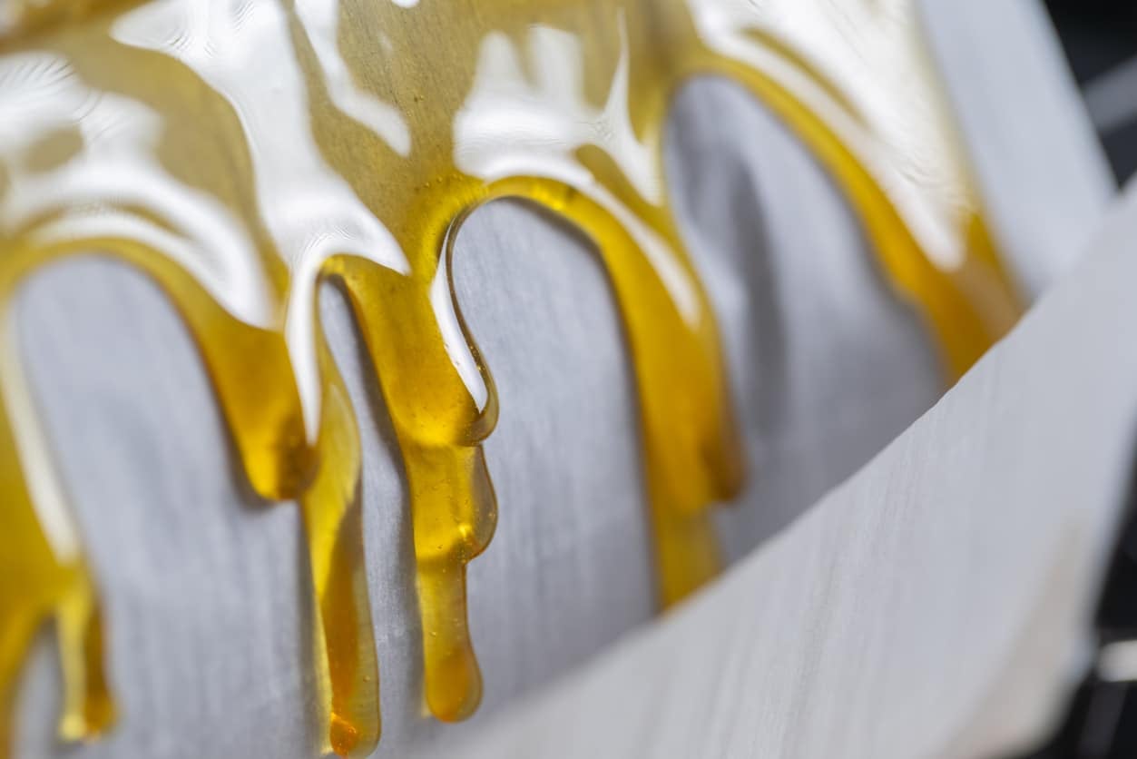 Shot of the process for making live rosin from dry hash and cannabis trichomes. Shot inside of a cannabis processing laboratory in Oregon, USA.