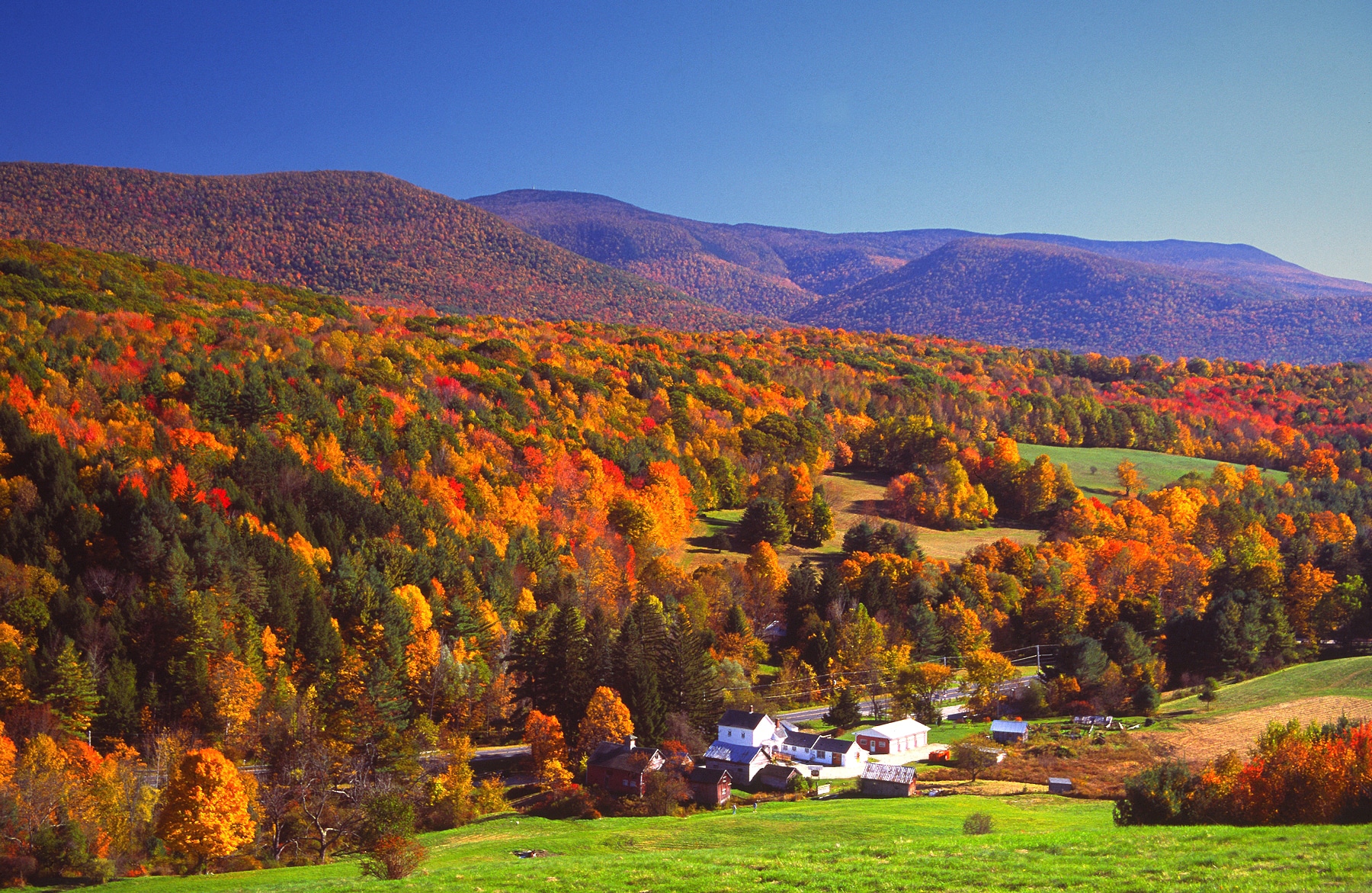 Autumn foliage in the Bershire Hills region of Massachusetts. Photo taken from a scenic viewpoint of the Mount Greylock Range during the peak fall foliage season. The Berkshires region enjoys a vibrant tourism industry based on music, arts, and recreation.